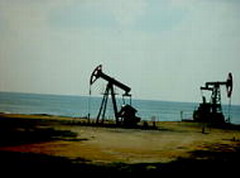 Oil production